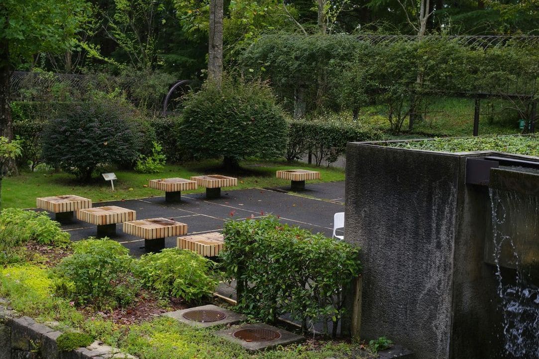 Lys Vert Jardin 1