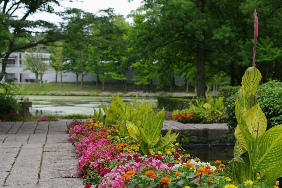 Lys Vert Jardin 14