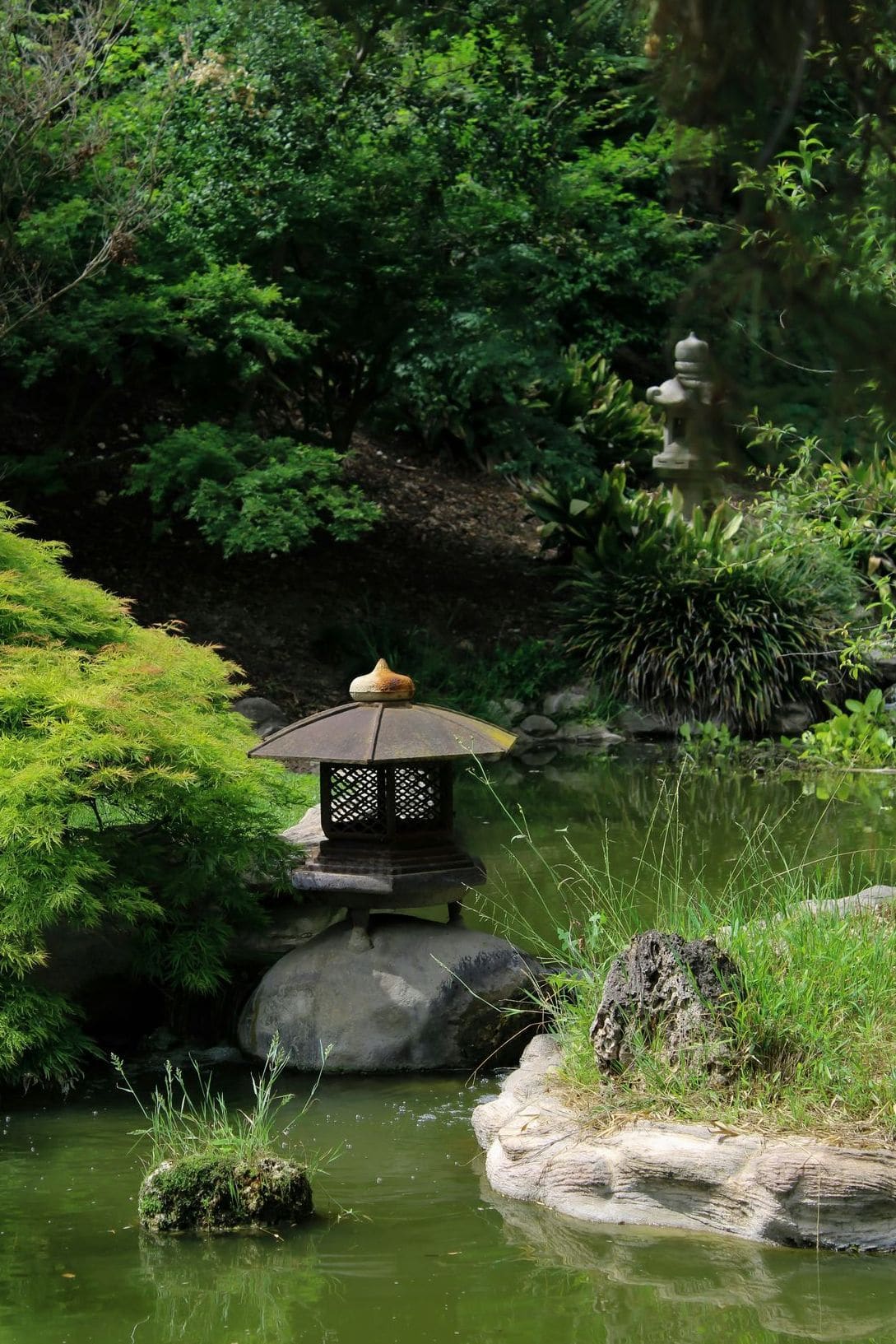 Lys Vert Jardin 5