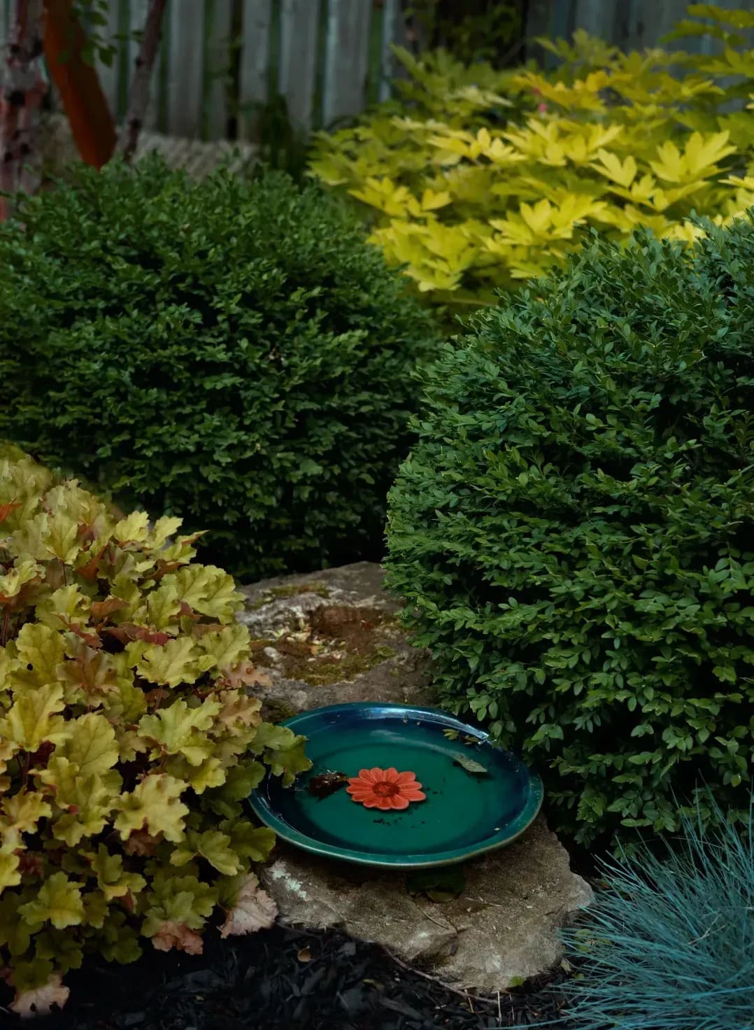 Entretien de jardins